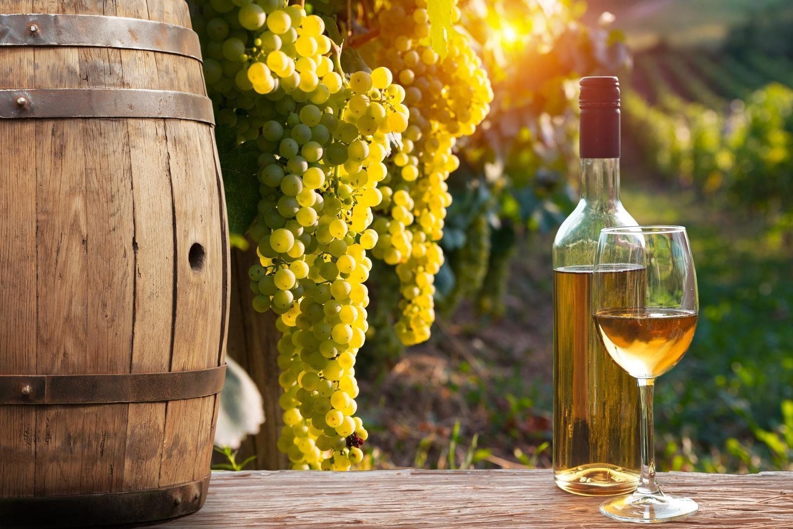 Fly-drive 8 dagen: La grande strada dei vini, foto 7