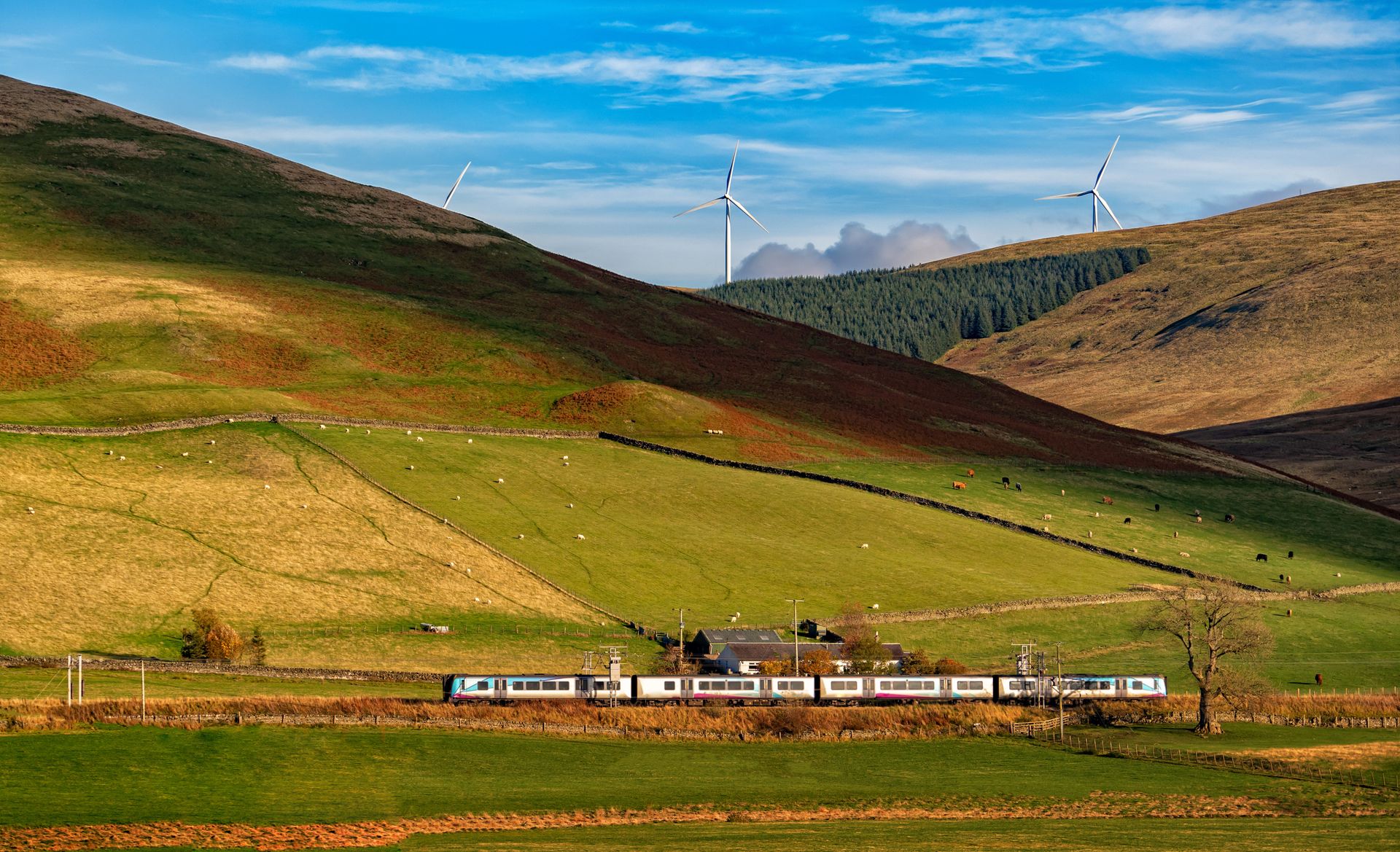 The spirit of Scotland, foto 14