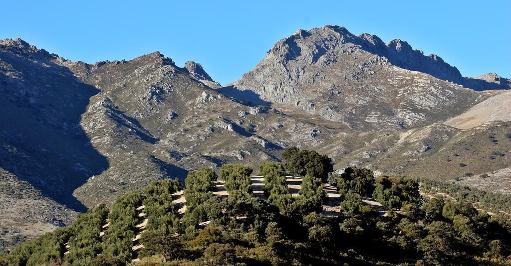 Hotel Huerta De Las Palomas, foto 8