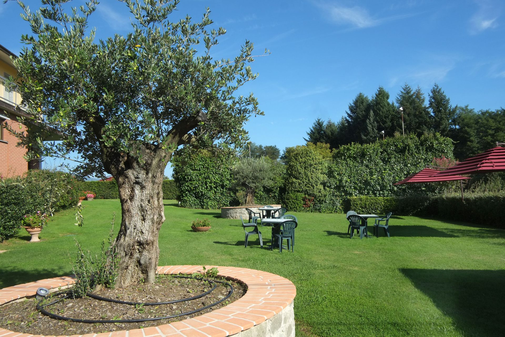 Park Hotel La Pineta, foto 3