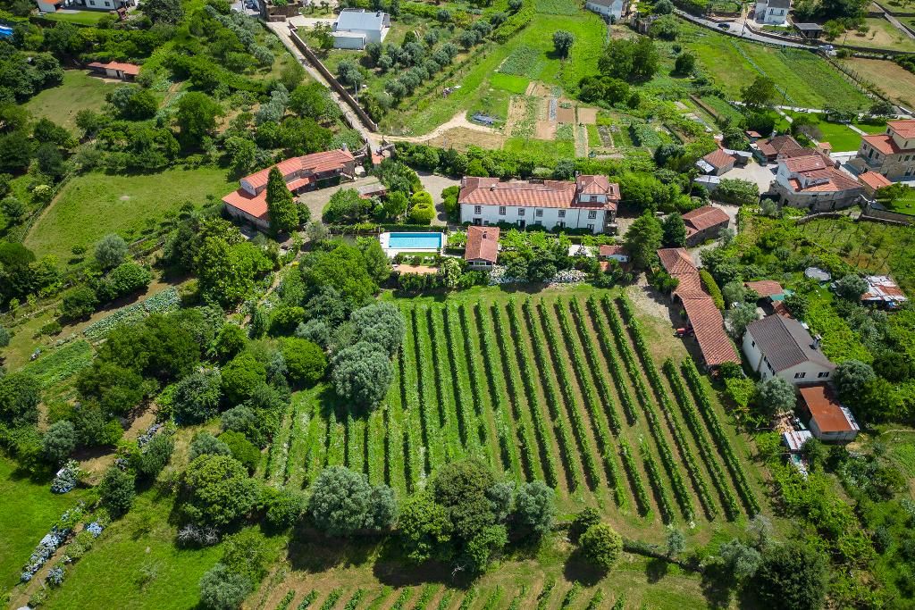 Quinta da Aldeia, foto 13