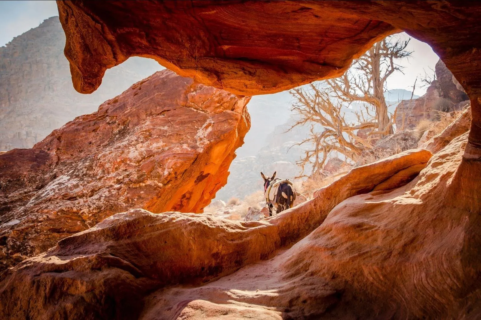 Petra