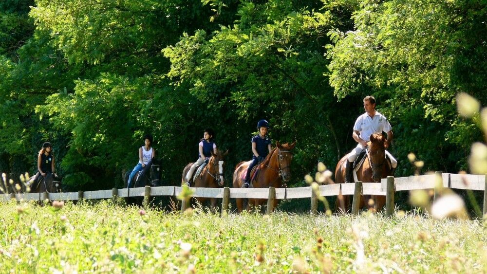 Agriturismo Le Sorgive e Le Volpi, foto 5