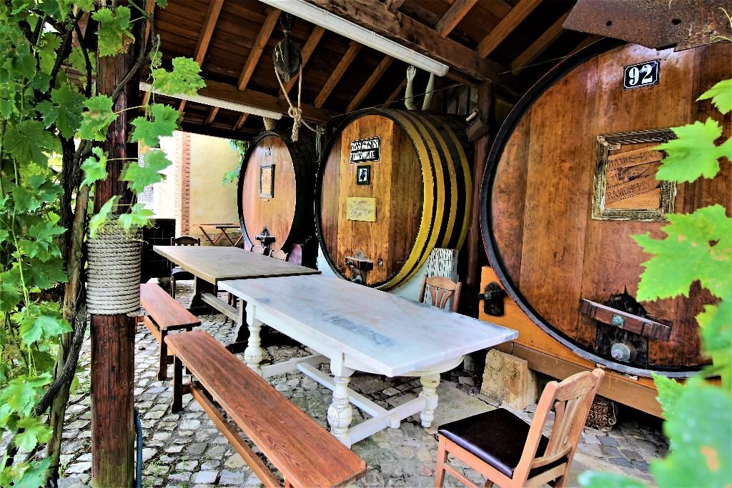Villa Ana Margarida By Nature, foto 3