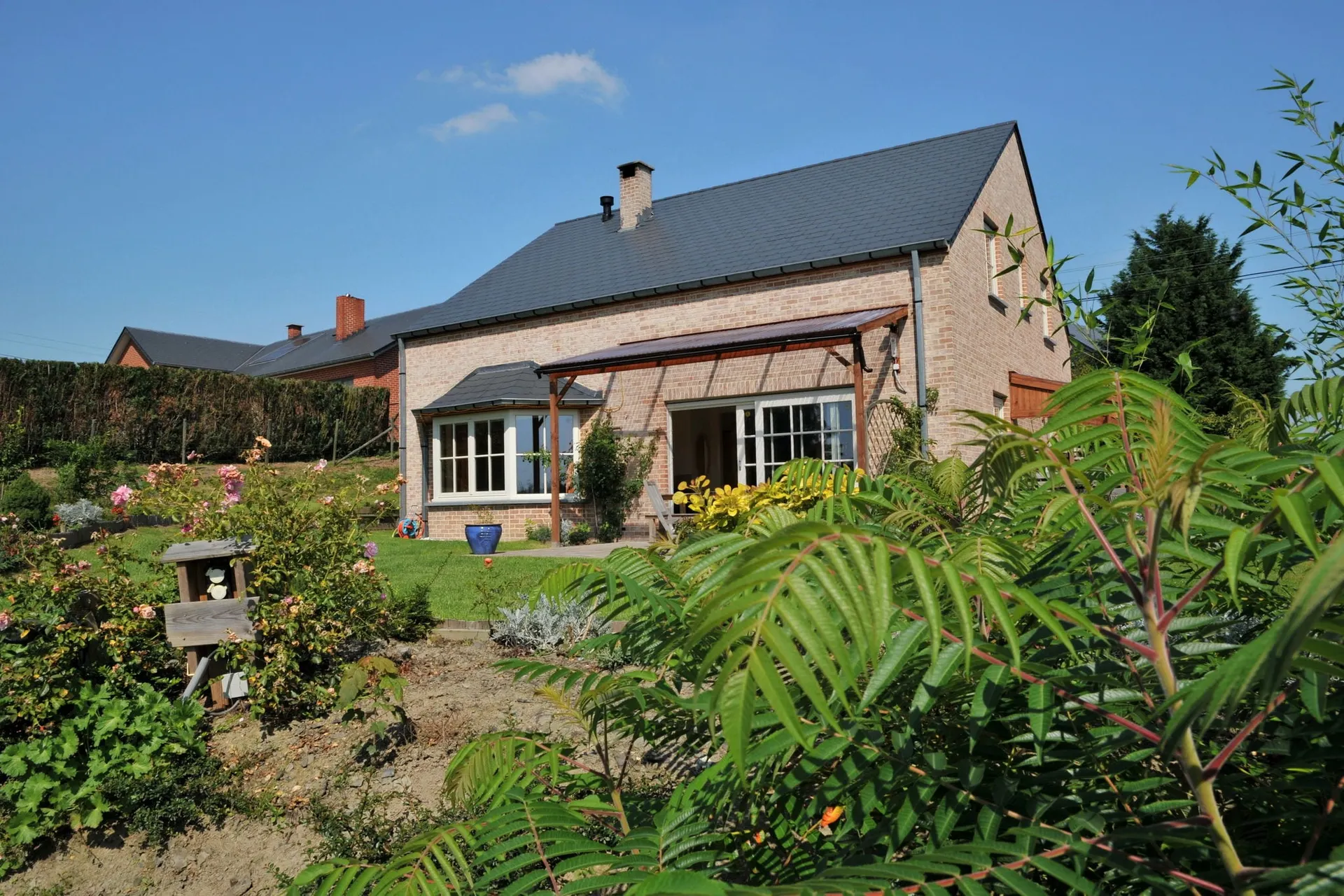 Jardin (été)