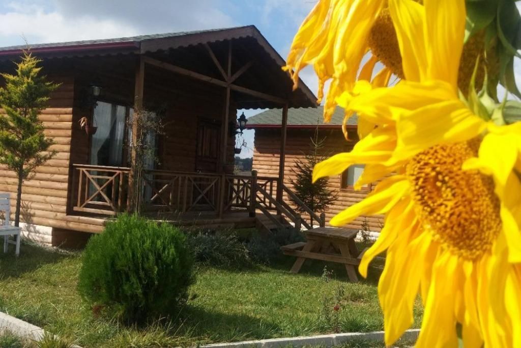 Gököz Natural Park, foto 4