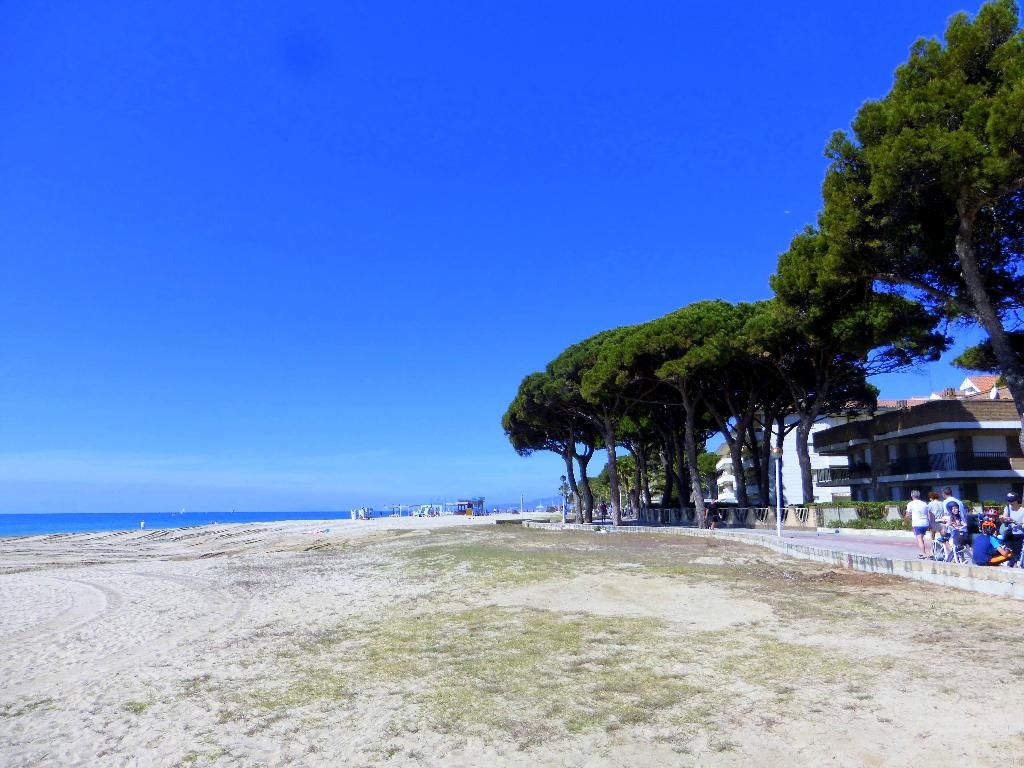 Rentalmar Pins Marina, foto 6
