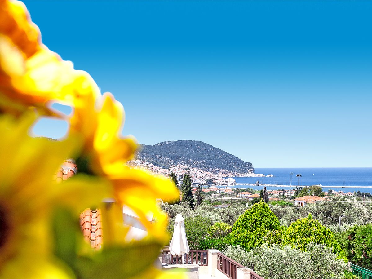 Skopelos Holidays Hotel, foto 10