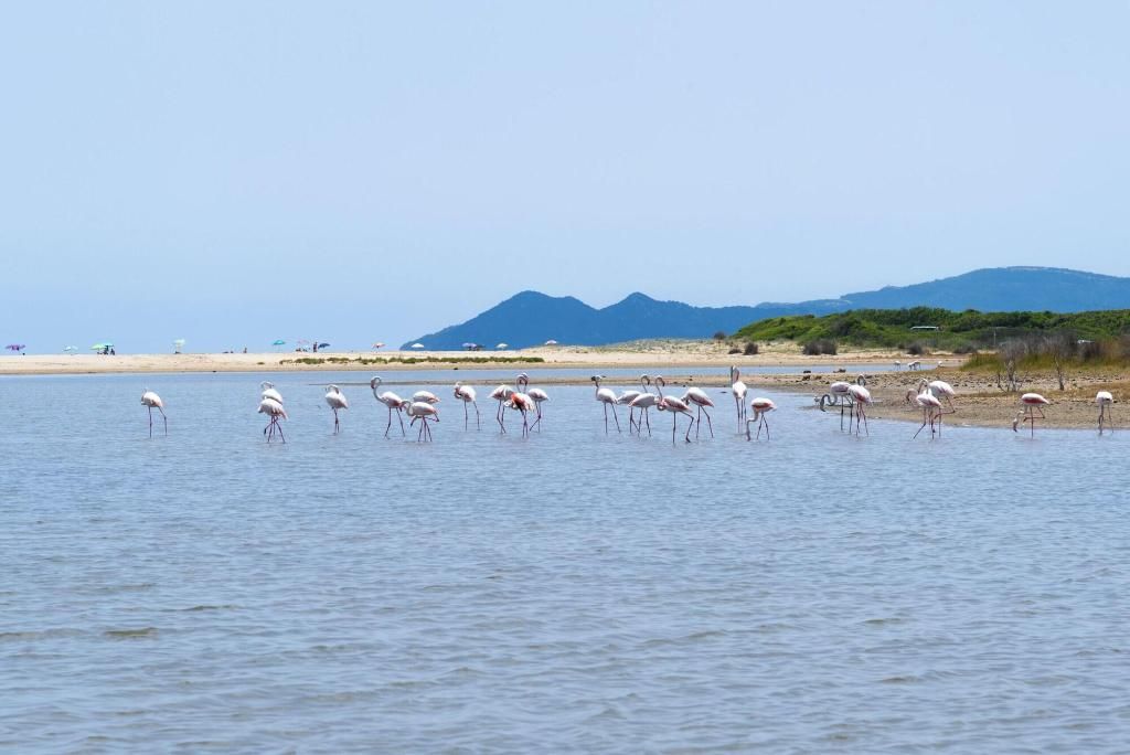 Valtur Sardegna Eos Costa Rei, foto 14