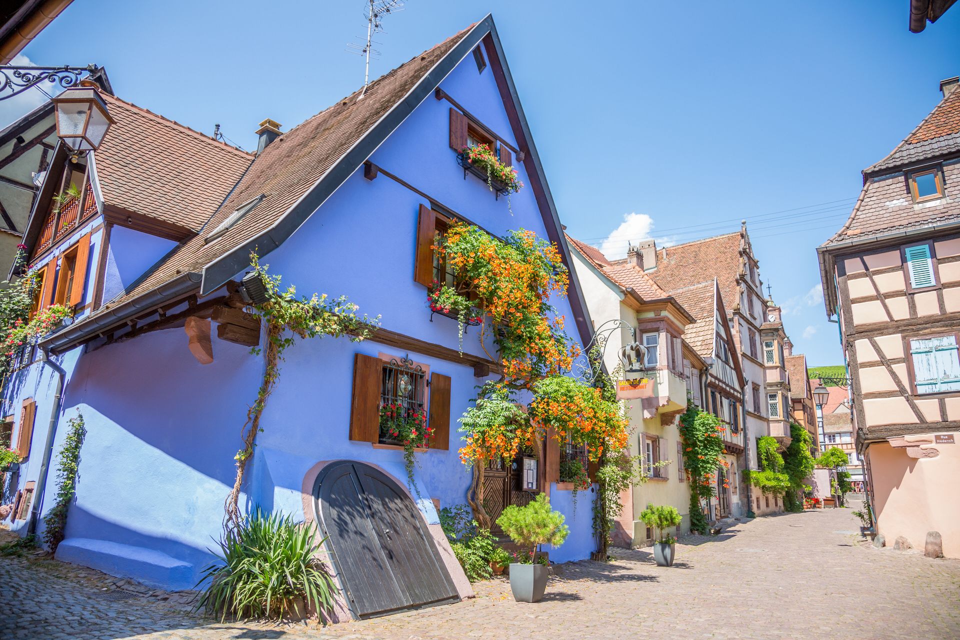 Zwarte Woud en de Elzas, Endingen, foto 5