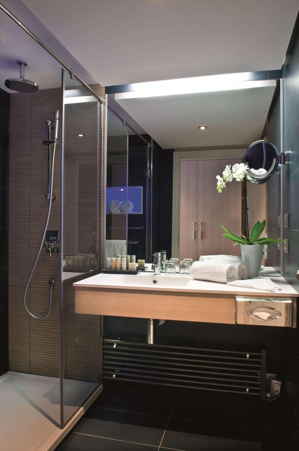 Radisson Blu Resort & Spa, Ajaccio Bay, foto 5