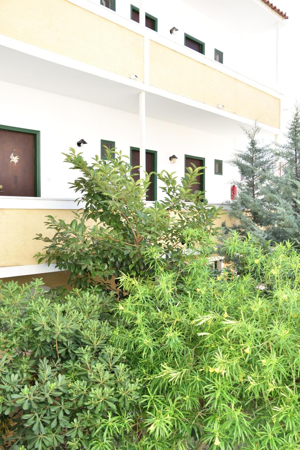 Hotel Aegina, foto 9