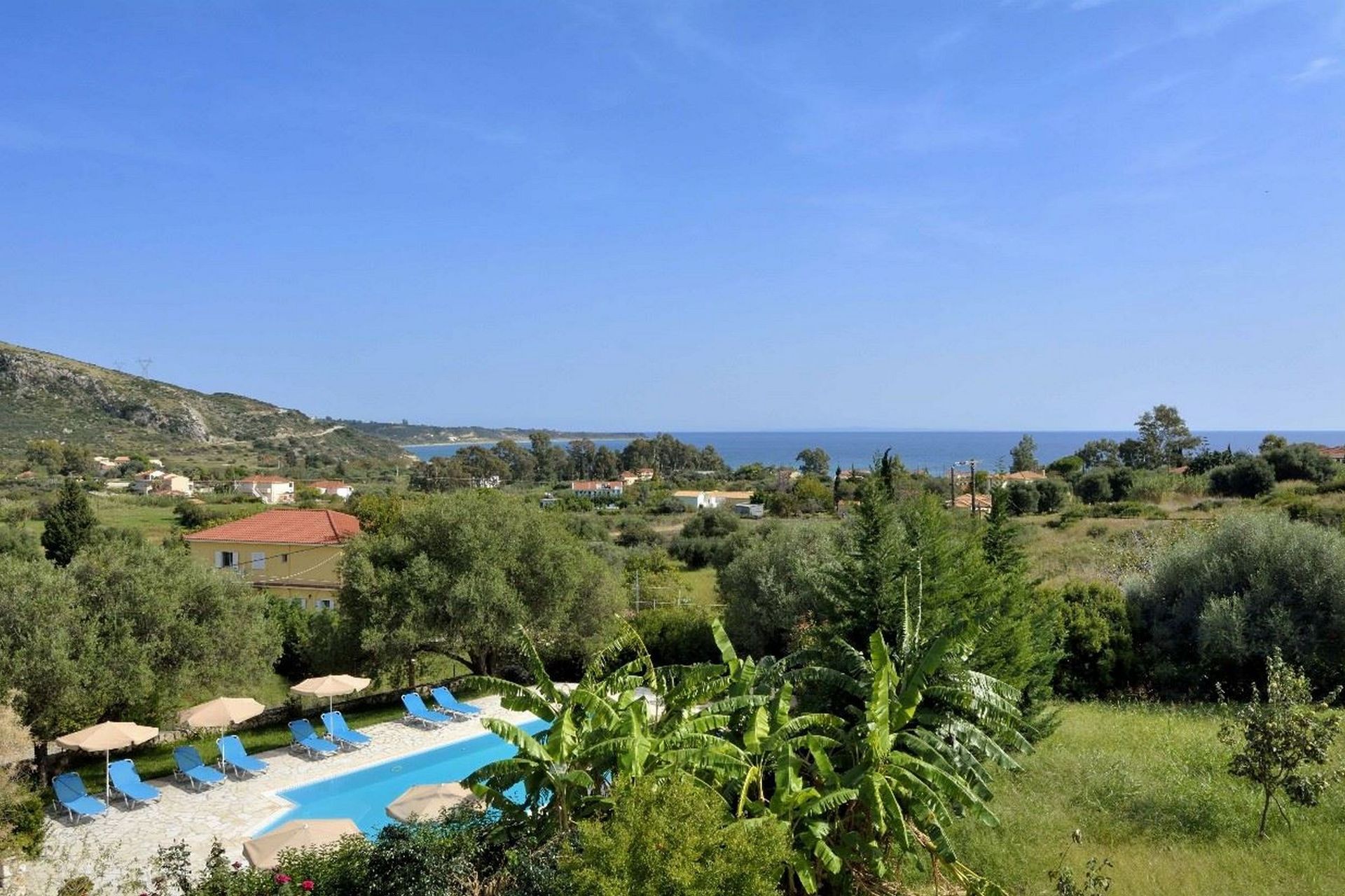 Anemona, foto 4