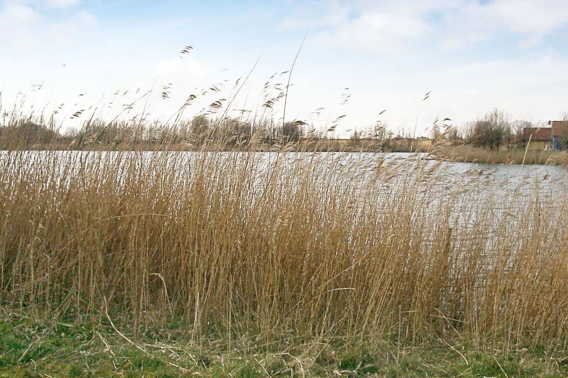 Vue sur l'eau