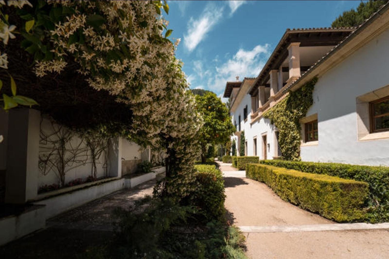 Alfabia Nou Agroturismo, foto 4