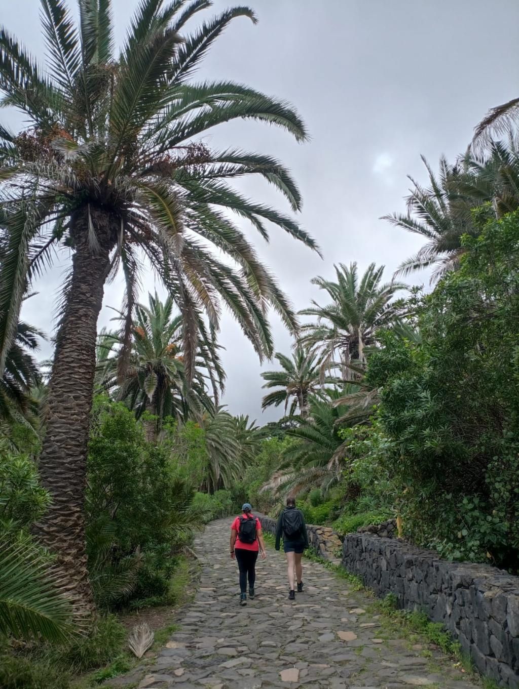 Aguere Nest Hostel, foto 6