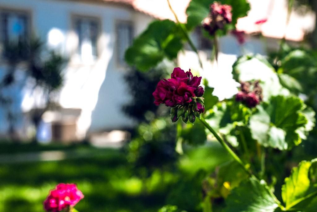 Lavandeira Douro Nature & Wellness, foto 8