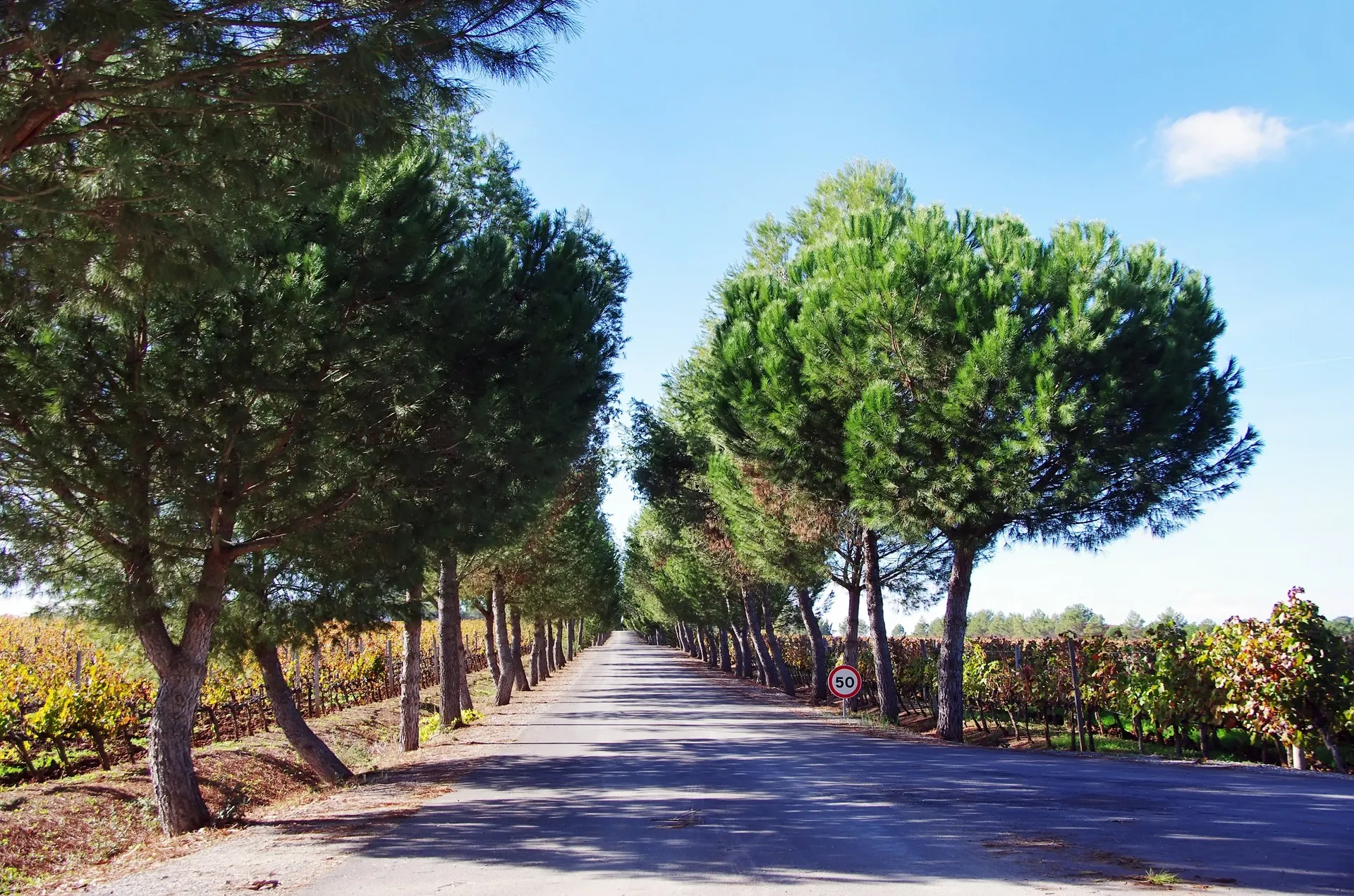 Portugal - Alentejo - Diversen