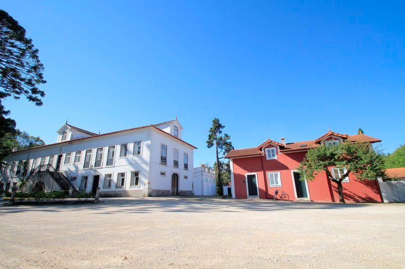 Casa De Mogofores, foto 10