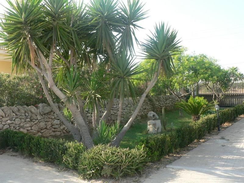 Villa Francesco Bed & Breakfast, foto 12