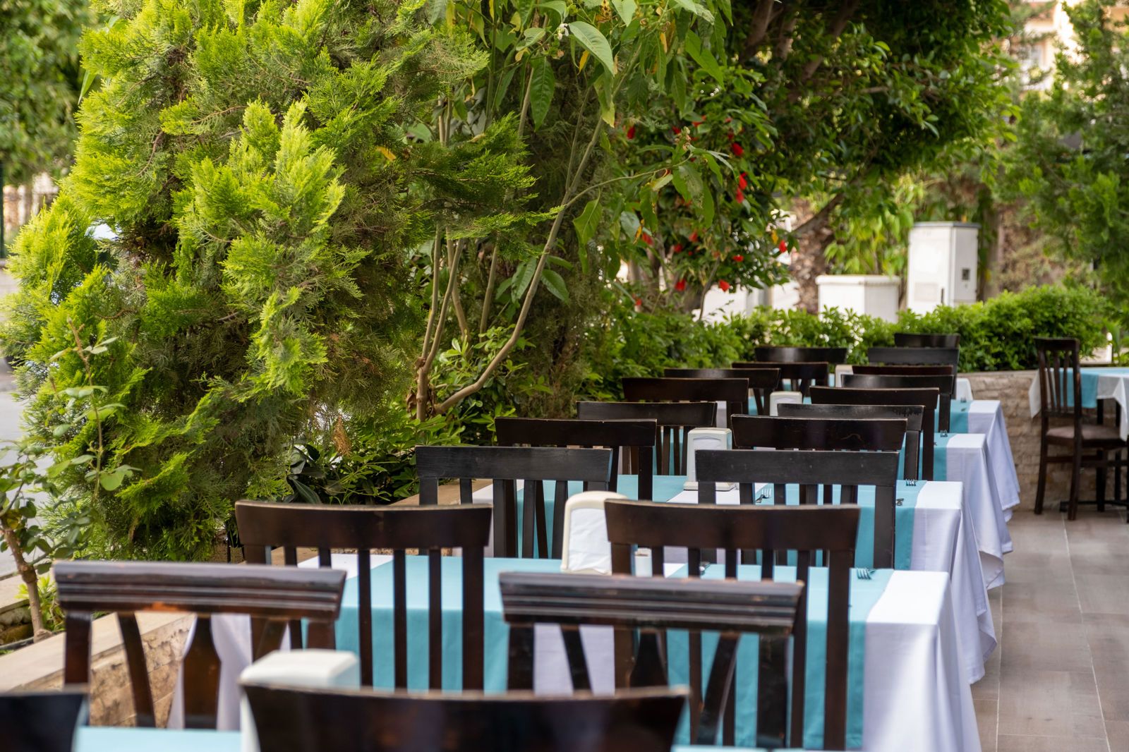 Alanya Risus Park Hotel, foto 13