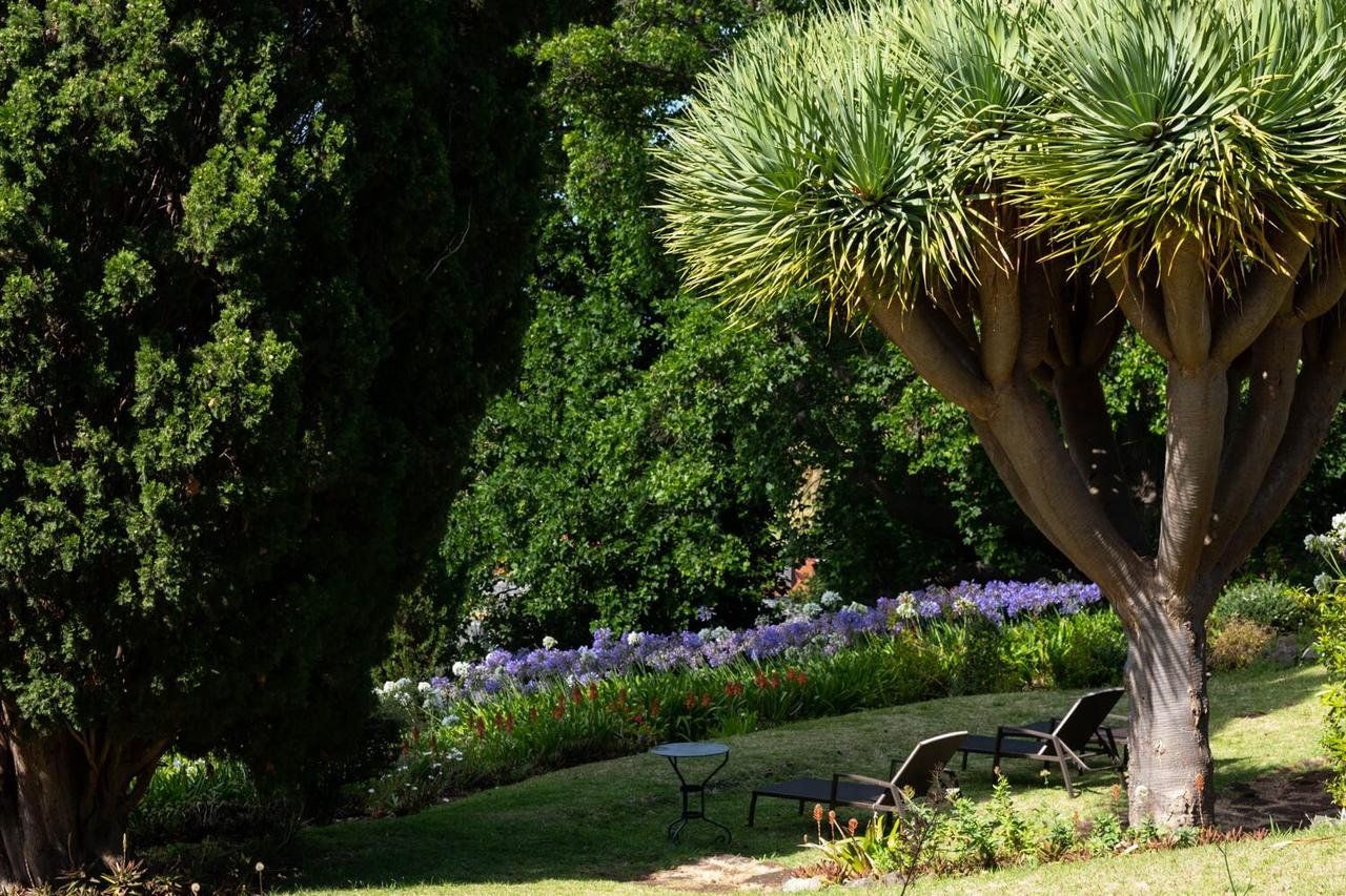Quinta das Vinhas, foto 14
