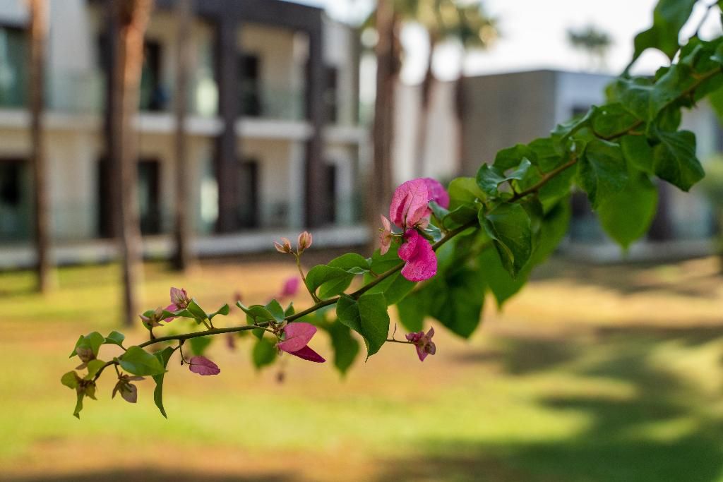 Hillstone Bodrum Hotel & Spa, foto 3