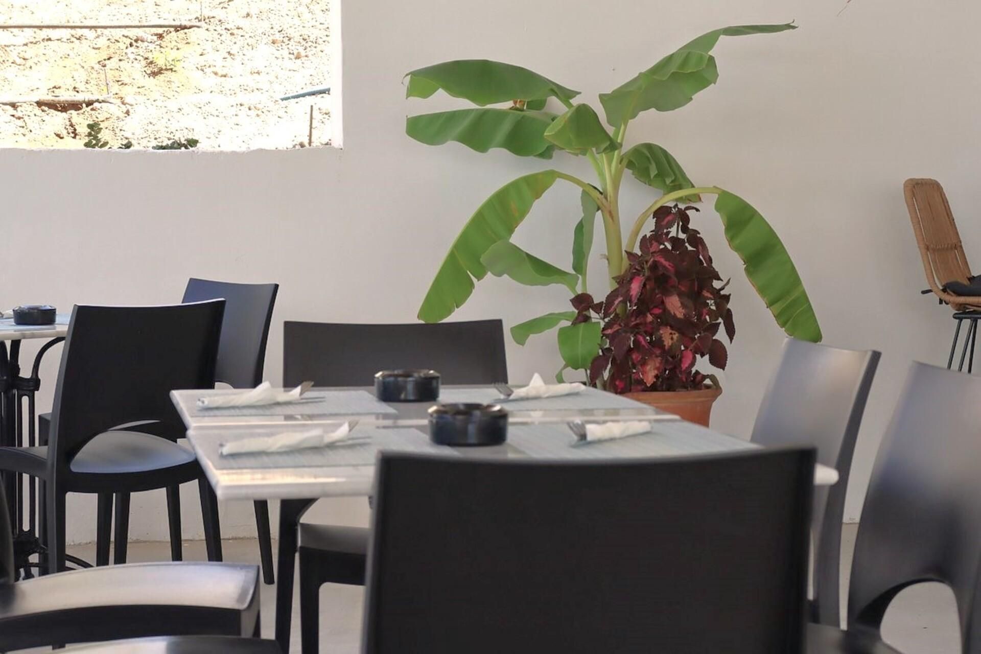 Evita Alegria Hotel, foto 12