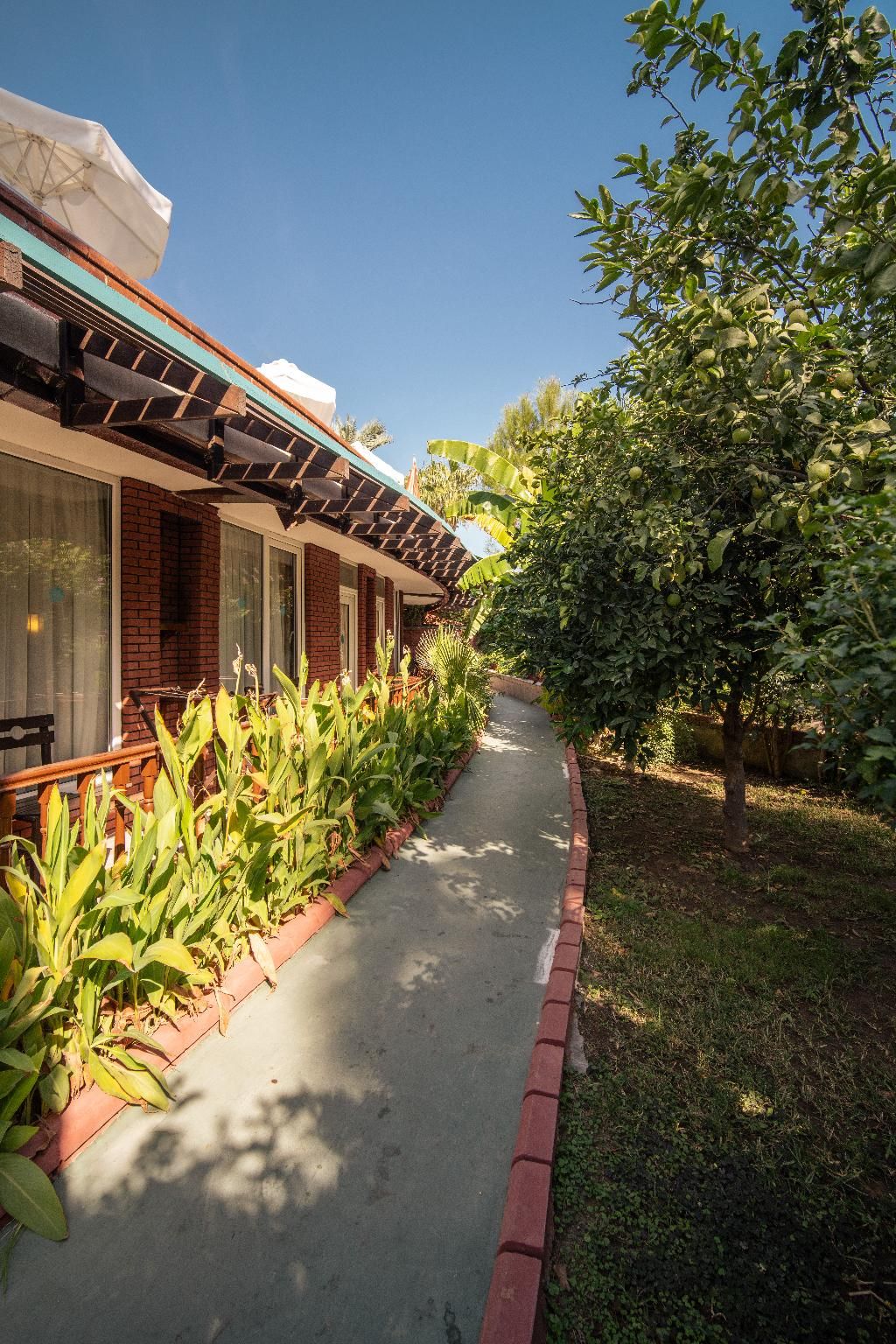 Zena Resort Hotel, foto 12