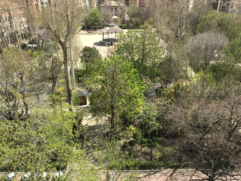 Alfonso VIII, foto 6