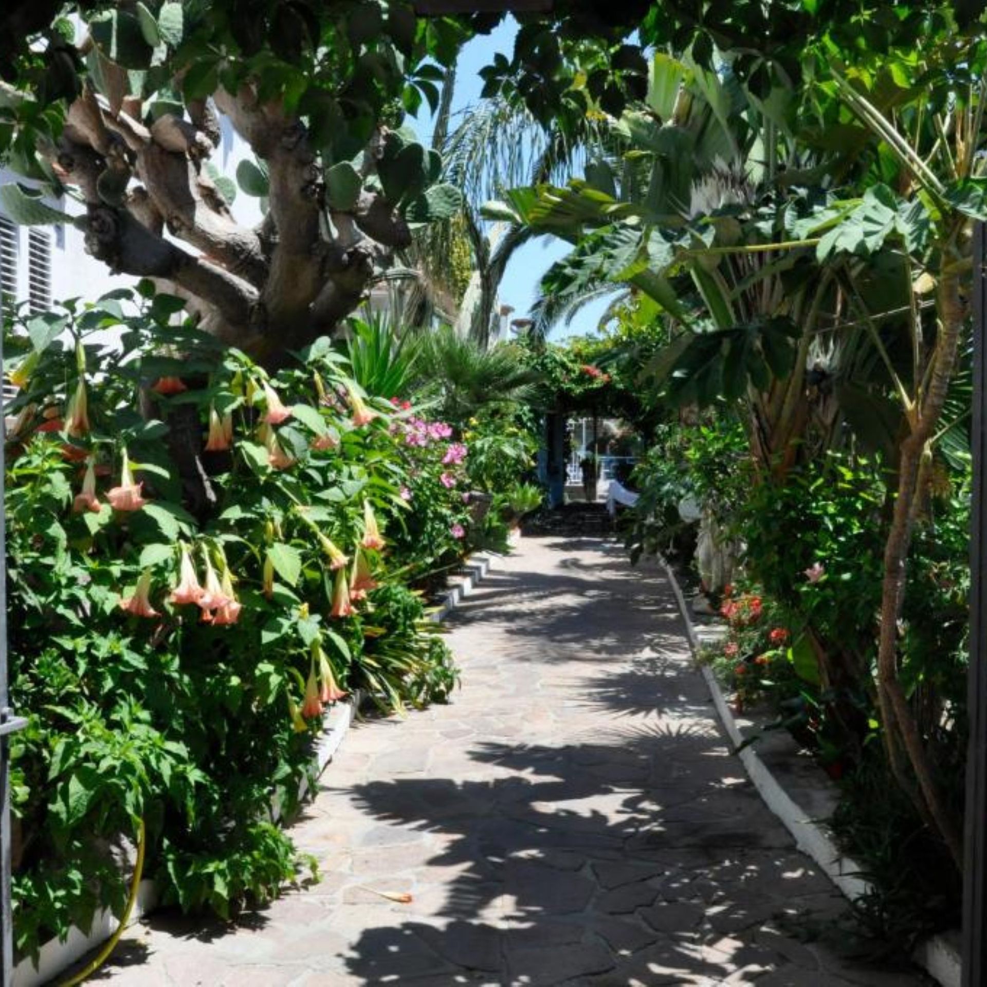 Casa Giuseppina, foto 15