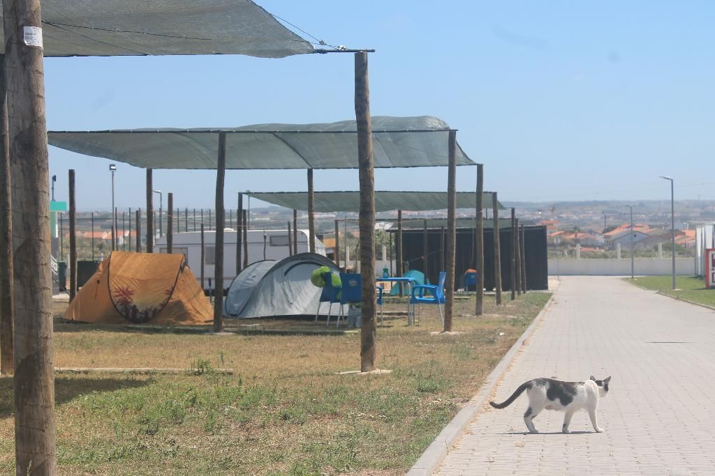 Urban Art Camping By Campigir, foto 13