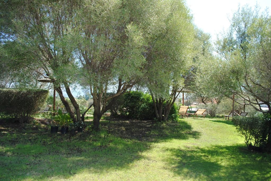 Sa Pedra Hotel, foto 12