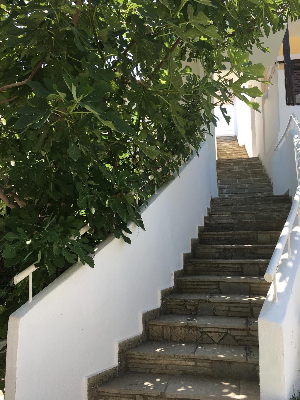 Ioli Village, foto 4