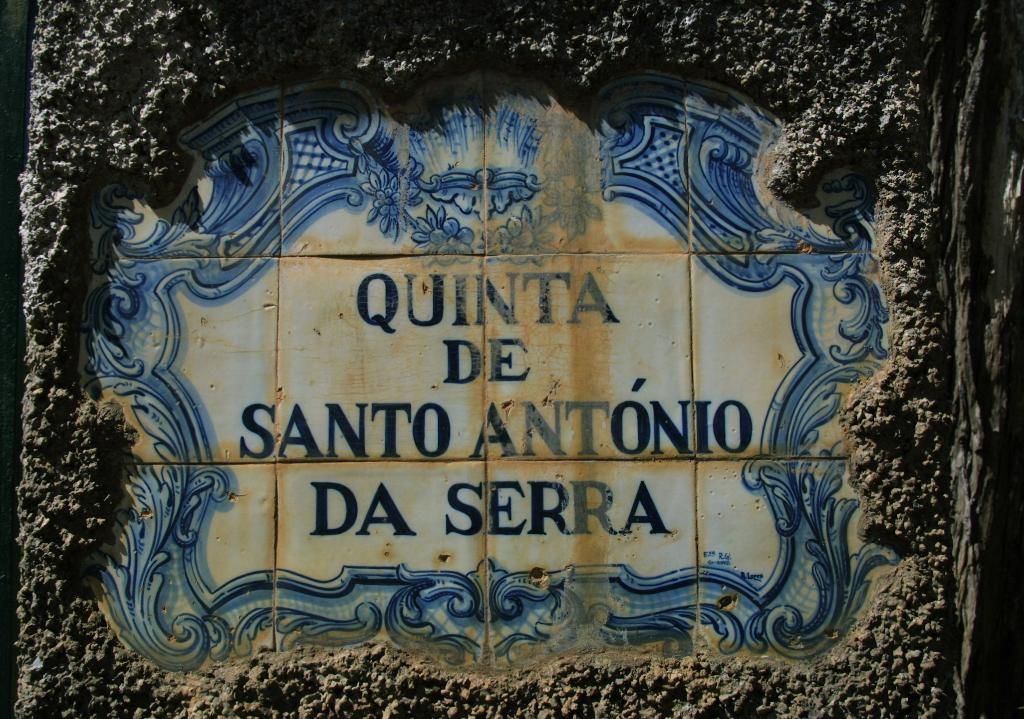 Quinta de Santo Antonio Da Serra, foto 3