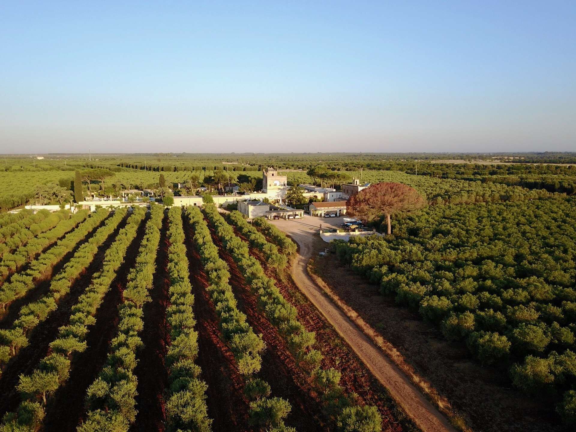 Agriturismo Tenuta Mazzetta, foto 7