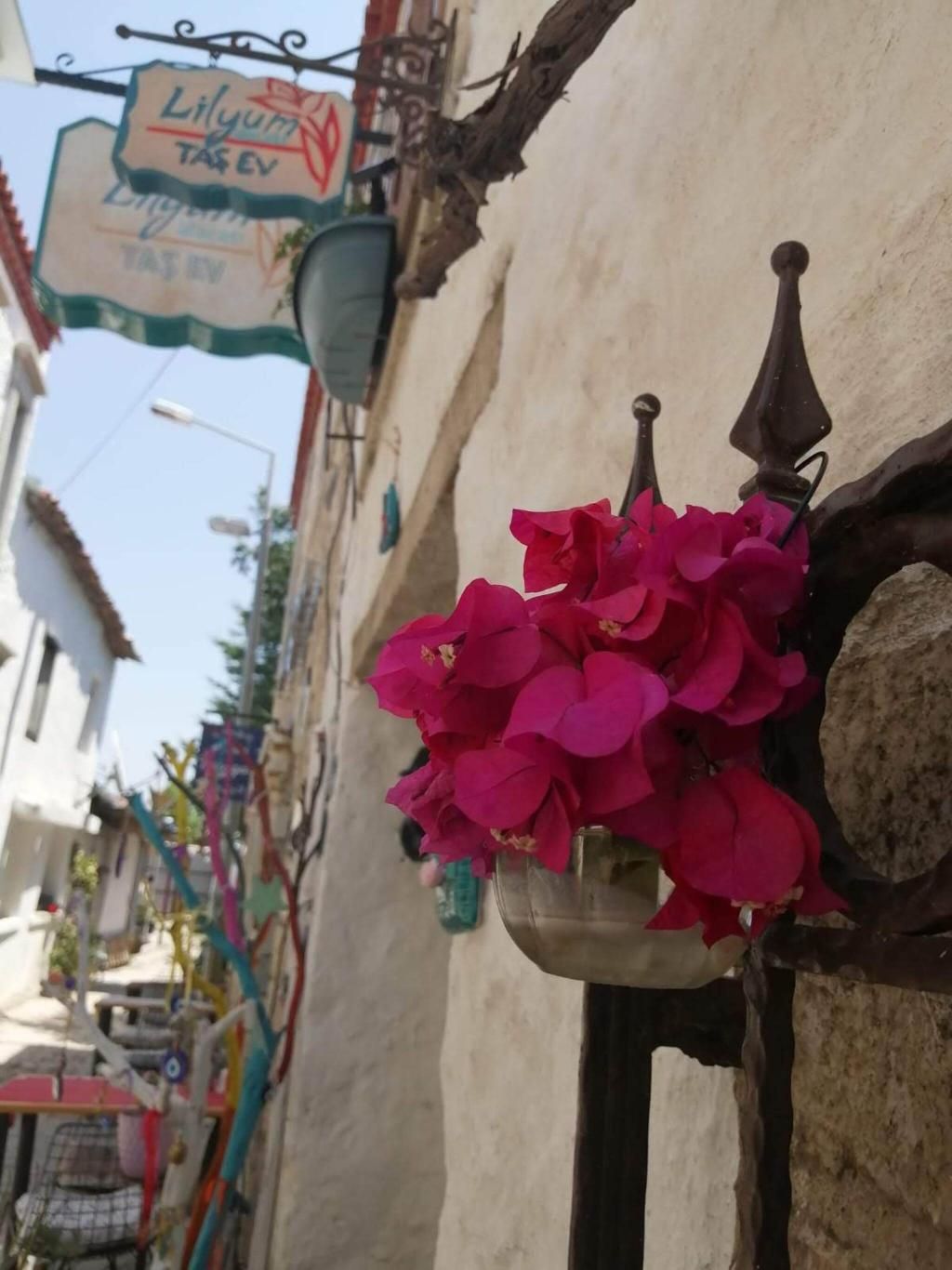 Lilyum Alaçati-Tas Ev, foto 12