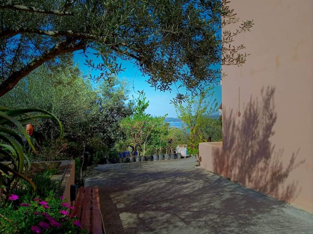 Oskars Studios, foto 11