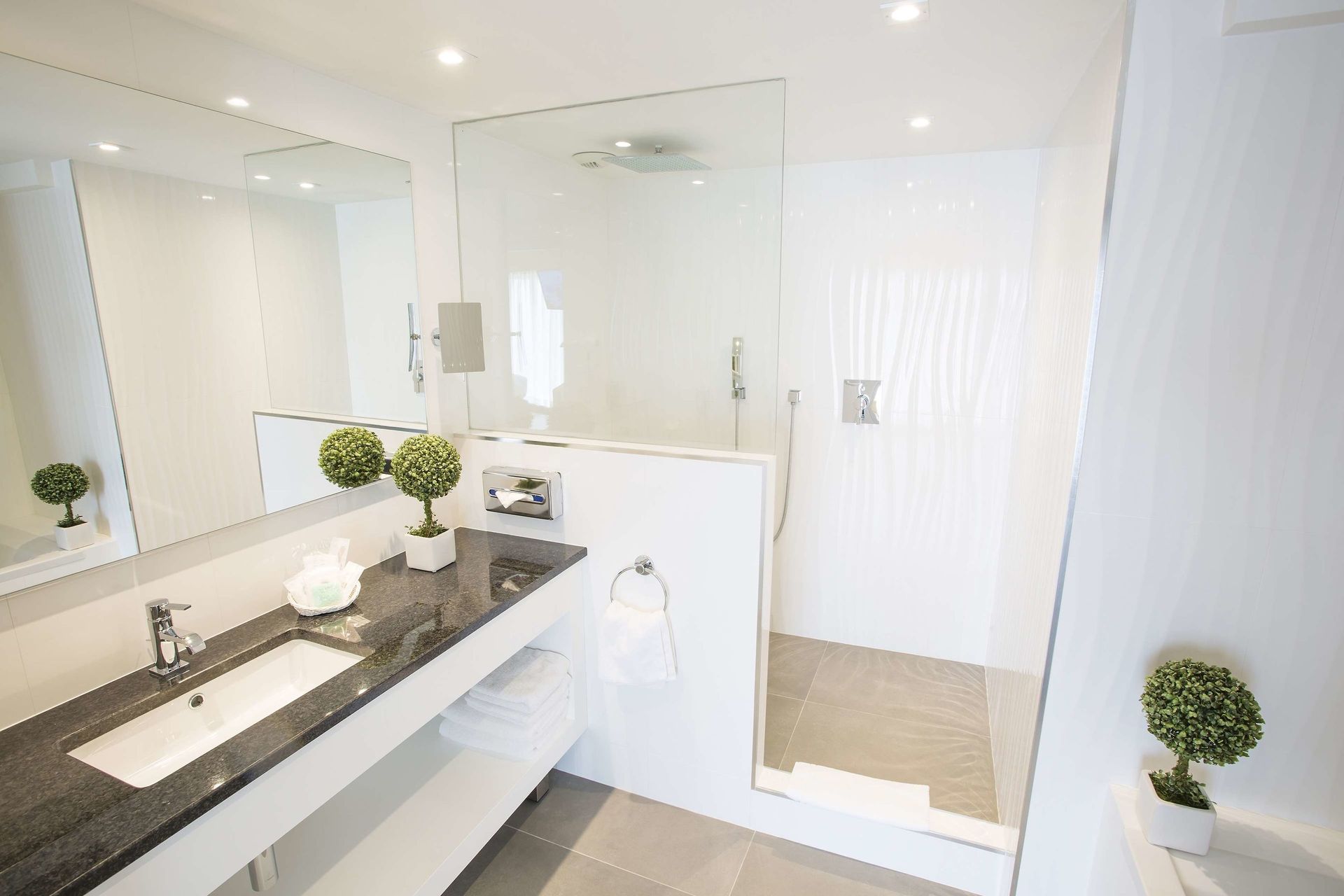 Best Western Plus Cannes Riviera Hotel & Spa, foto 2