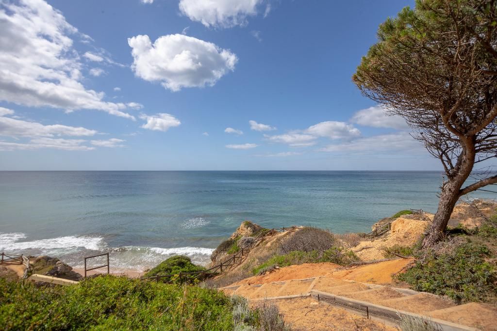 Masana Algarve, foto 10