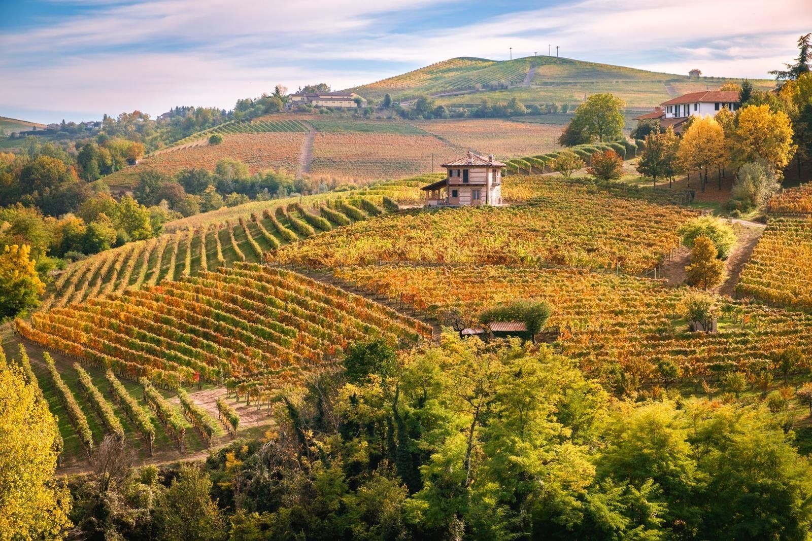 Fly-drive 8 dagen: Ontdek de smaak en schoonheid van Noord-Italië, Piemonte, Ligurië en Emilia Romagna , foto 4
