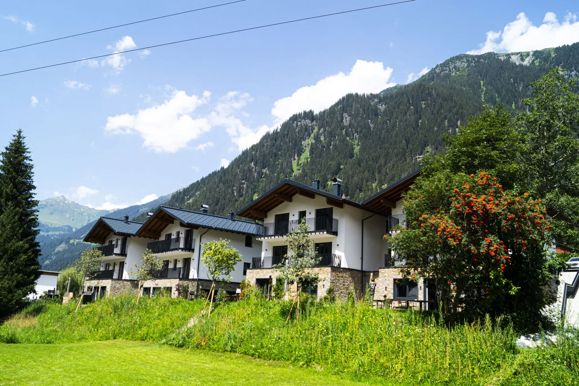 Exterieur vakantiehuis (zomer)