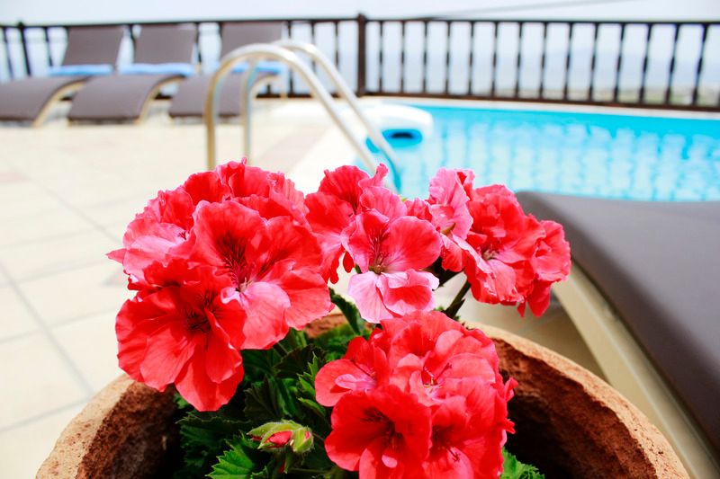 Amerisa Suites, foto 12