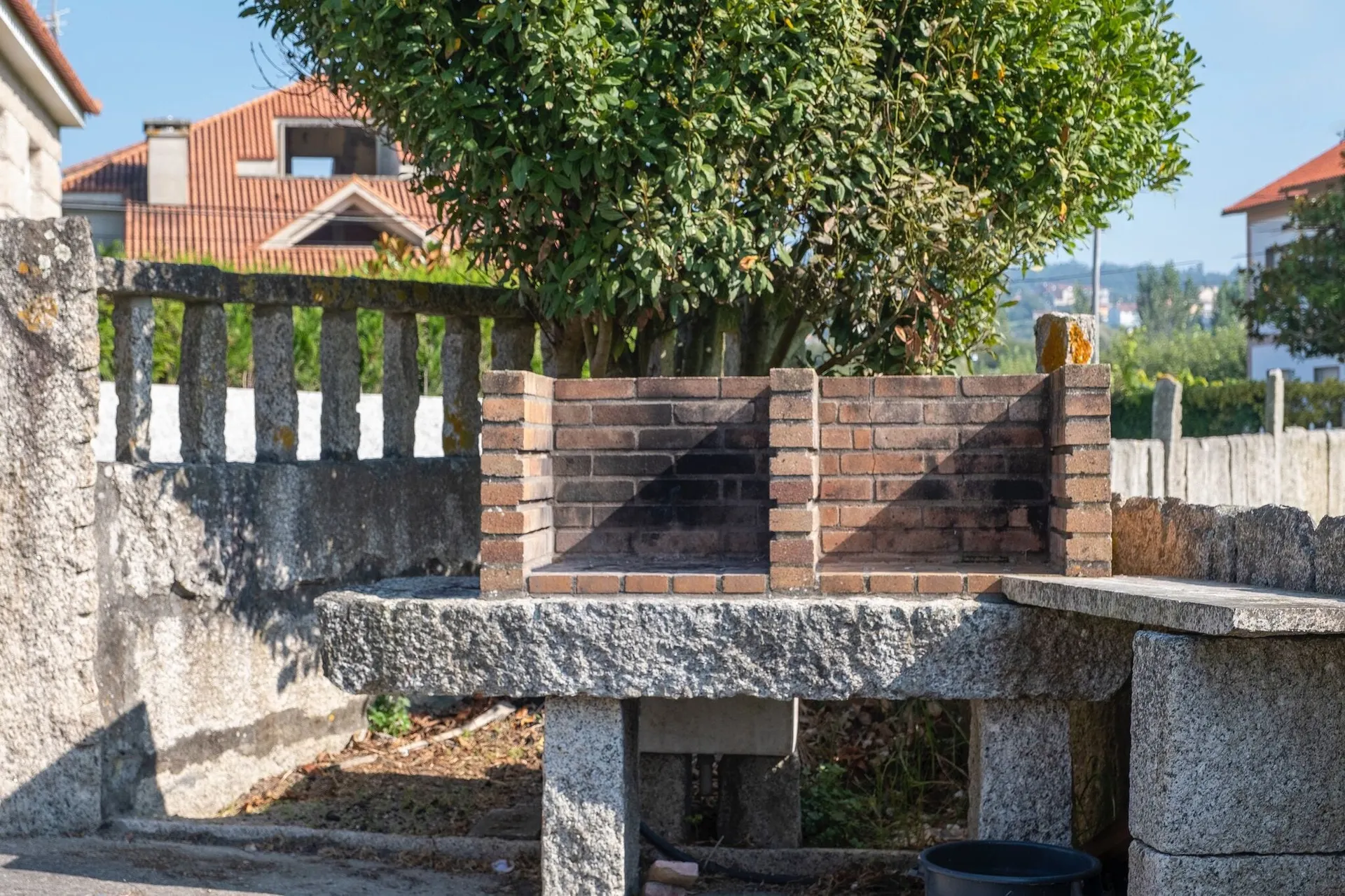 Directe omgeving (zomer) (<1 km)