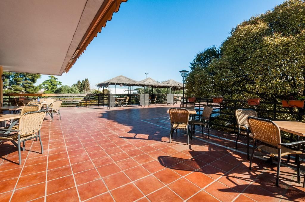 Hotel Los Olivos, foto 8