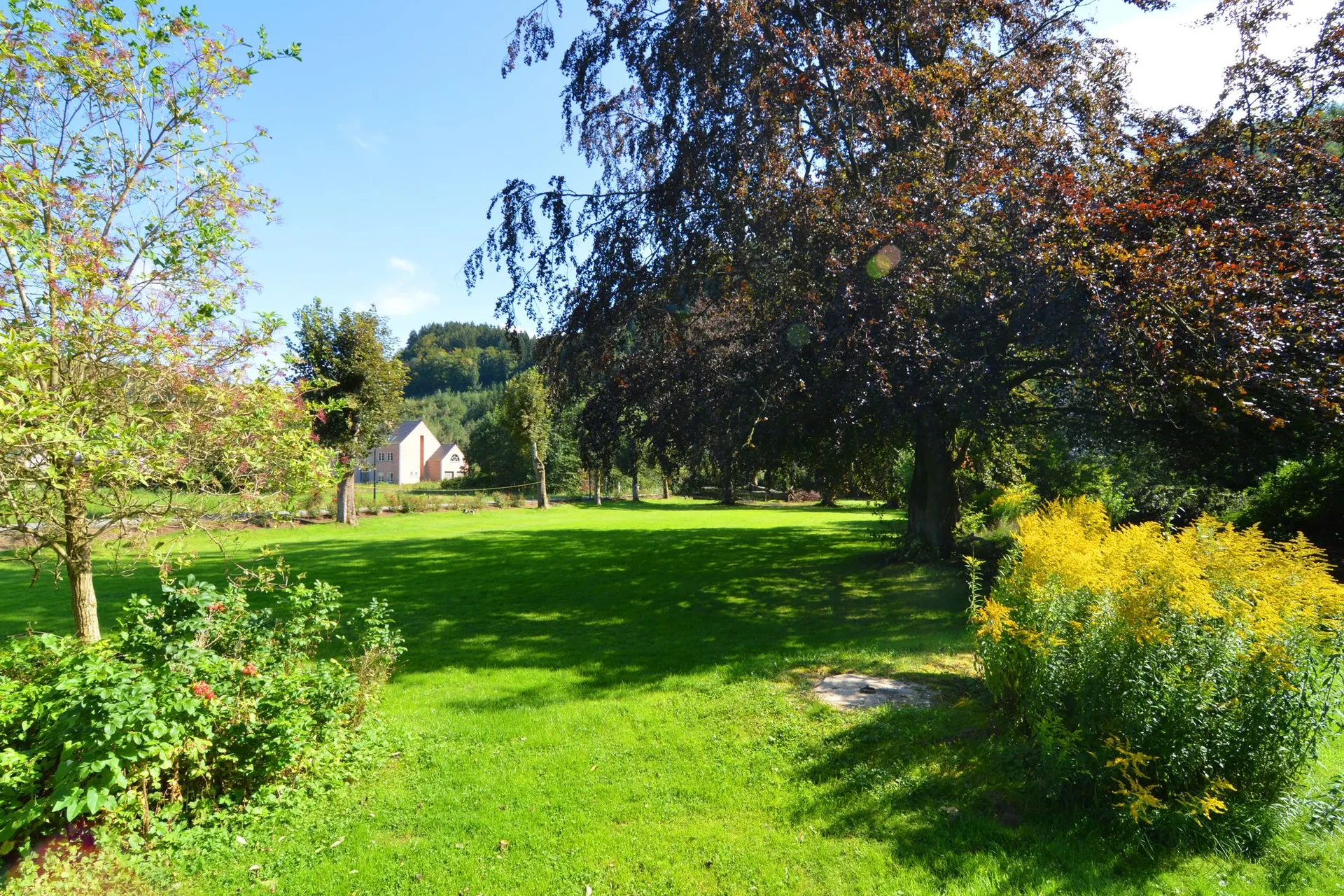 Jardin (été)