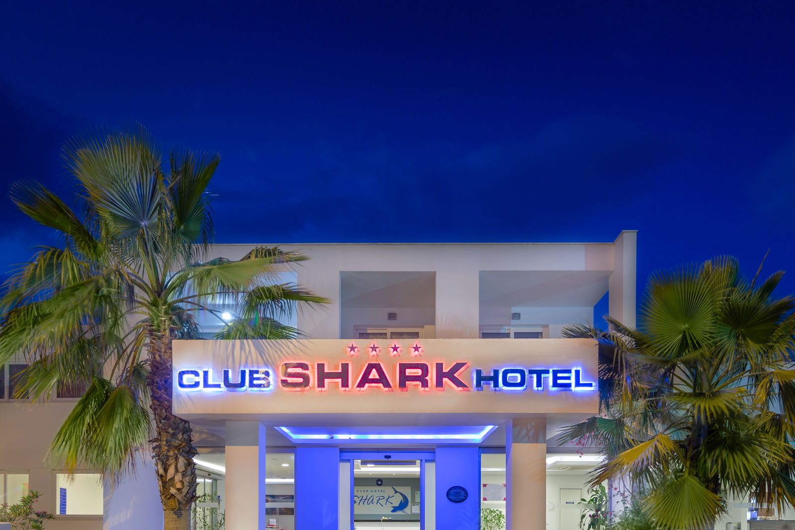 Shark Club, foto 12
