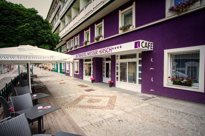 AKTIVHOTEL Weißer Hirsch, foto 9