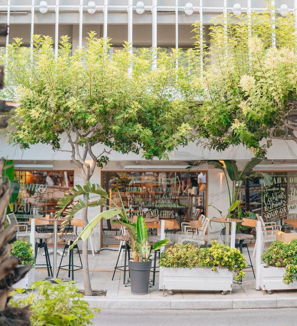 Olive Green Hotel, foto 12