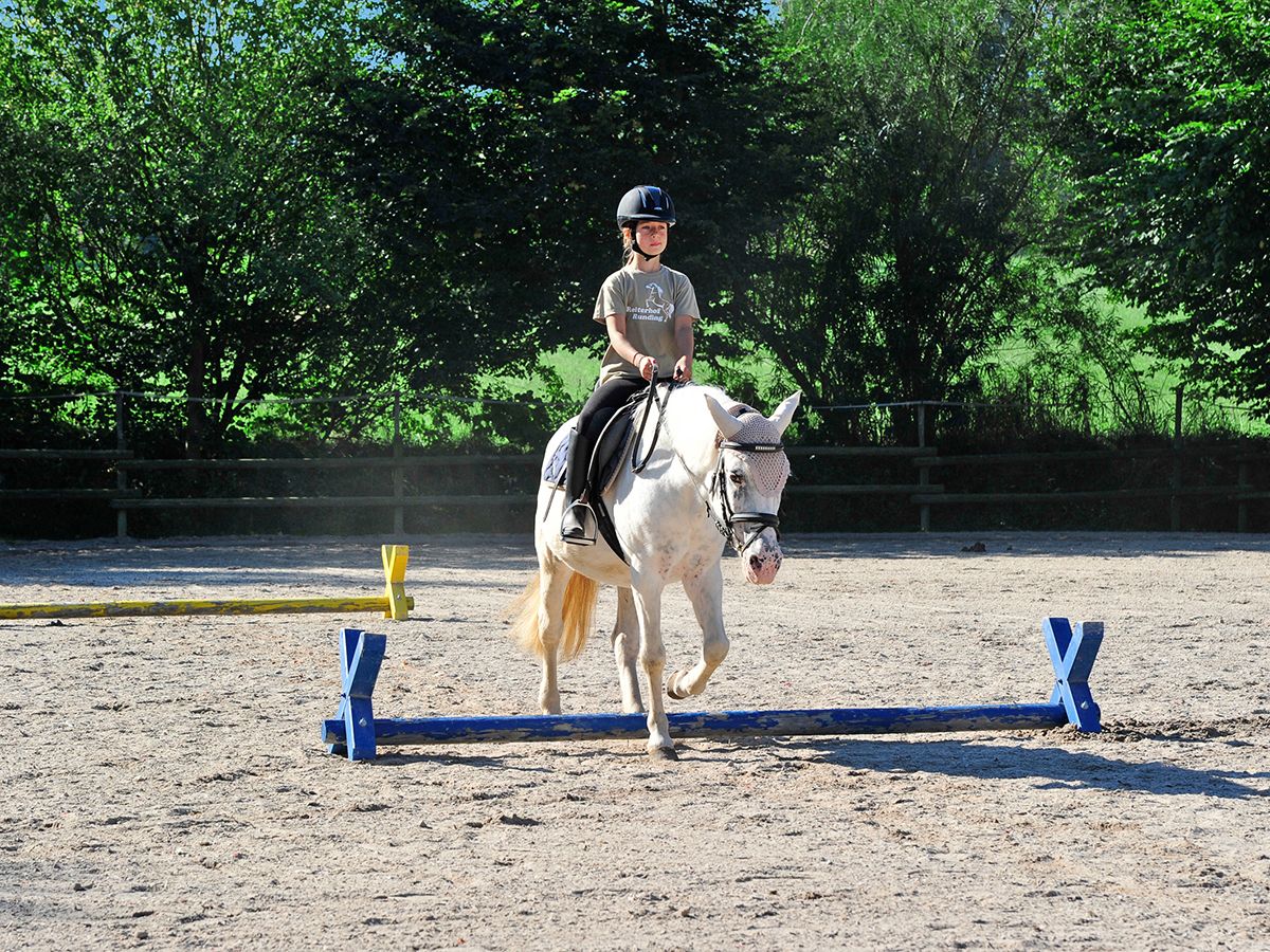 Reiterhof Runding, foto 12